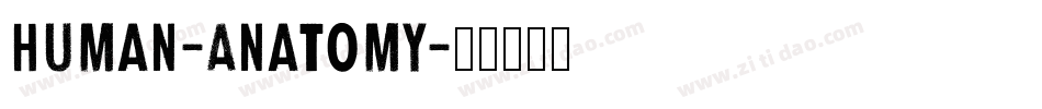 Human-Anatomy字体转换