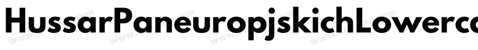 HussarPaneuropjskichLowercase-7vYA字体转换