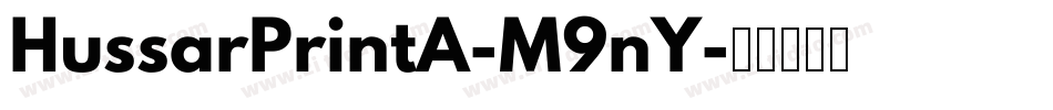 HussarPrintA-M9nY字体转换