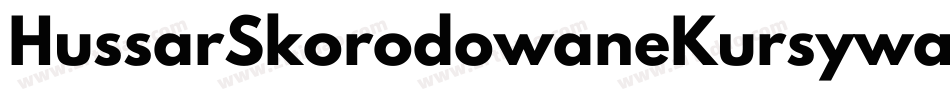HussarSkorodowaneKursywa-Z8x8字体转换