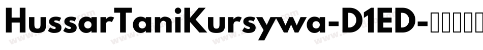 HussarTaniKursywa-D1ED字体转换