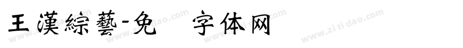 王漢綜藝字体转换
