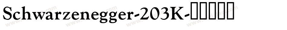 Schwarzenegger-203K字体转换