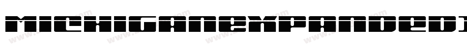 MichiganExpandedItalic-mwVj字体转换