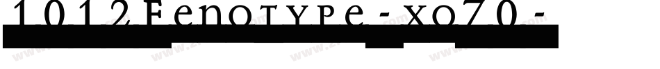 1012Fenotype-xo70字体转换