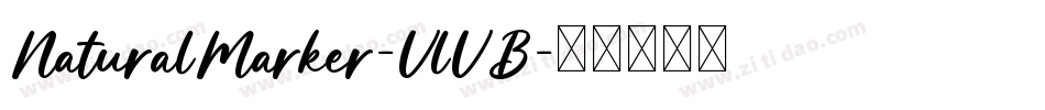 NaturalMarker-VlVB字体转换