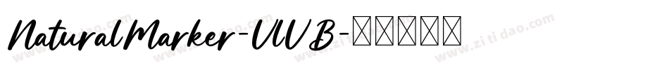 NaturalMarker-VlVB字体转换