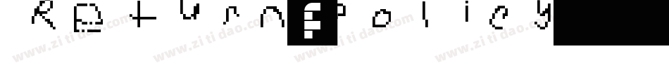 Return-Policy字体转换