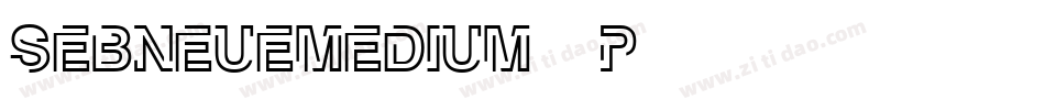SebneueMedium-401p字体转换