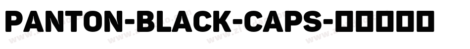 Panton-Black-Caps字体转换