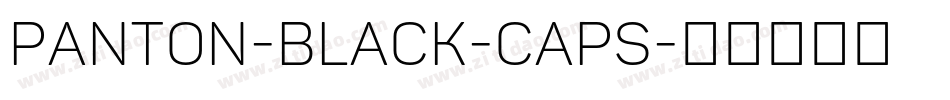 Panton-Black-Caps字体转换