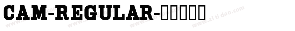 Cam-Regular字体转换