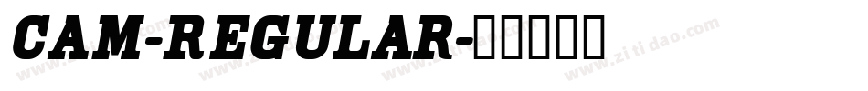 Cam-Regular字体转换