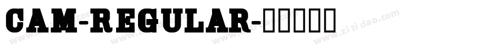 Cam-Regular字体转换