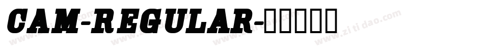 Cam-Regular字体转换