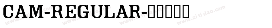 Cam-Regular字体转换