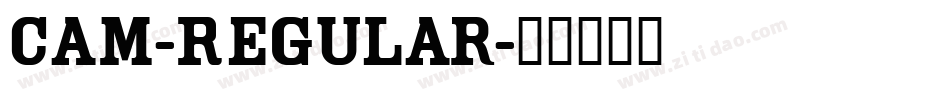 Cam-Regular字体转换