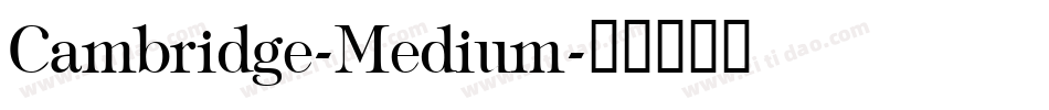 Cambridge-Medium字体转换
