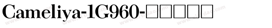 Cameliya-1G960字体转换