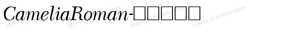 CameliaRoman字体转换