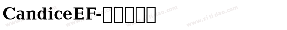 CandiceEF字体转换