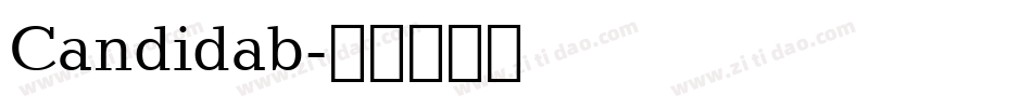 Candidab字体转换