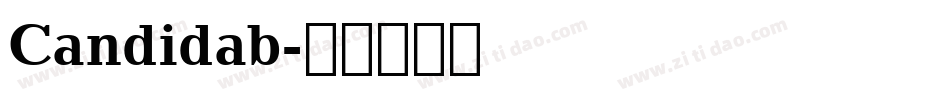 Candidab字体转换