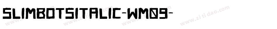 SlimbotsItalic-wM09字体转换