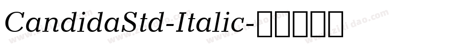 CandidaStd-Italic字体转换