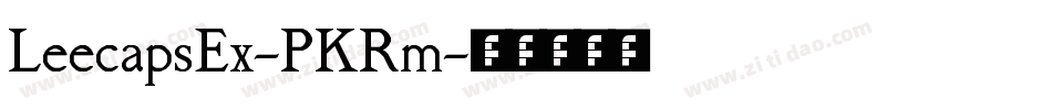 LeecapsEx-PKRm字体转换