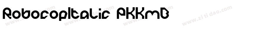 RobocopItalic-PKKmB字体转换
