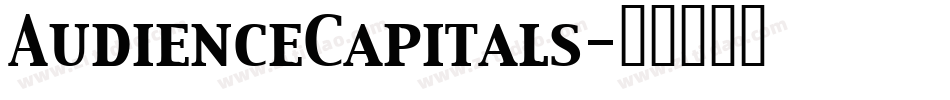 AudienceCapitals字体转换