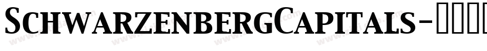 SchwarzenbergCapitals字体转换