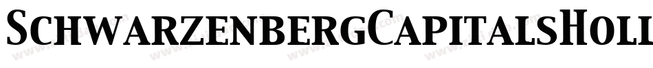 SchwarzenbergCapitalsHollow字体转换