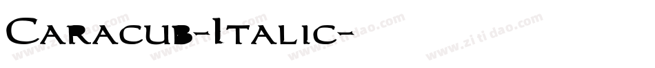 Caracub-Italic字体转换