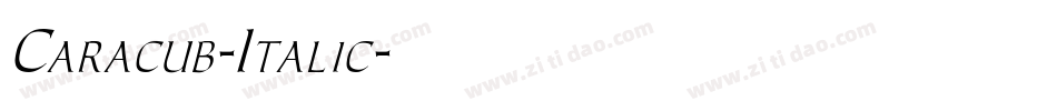 Caracub-Italic字体转换