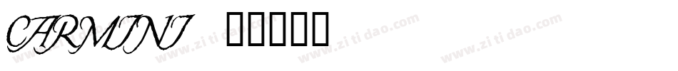 CARMINI字体转换