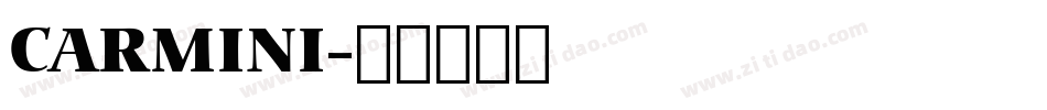 CARMINI字体转换