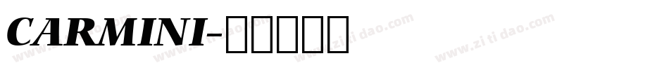 CARMINI字体转换