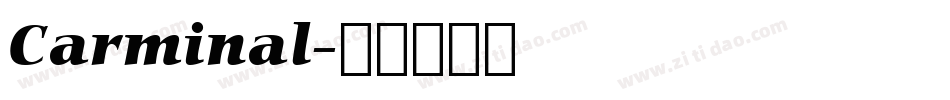 Carminal字体转换