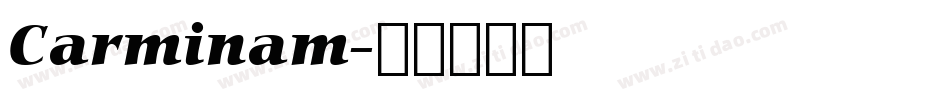 Carminam字体转换