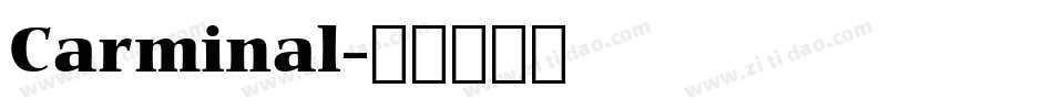 Carminal字体转换