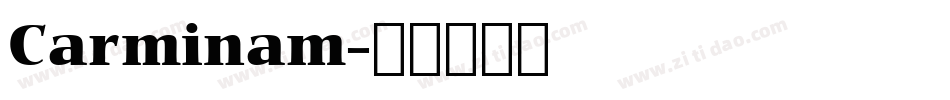 Carminam字体转换