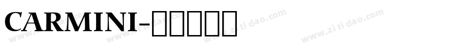 CARMINI字体转换