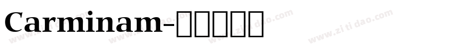 Carminam字体转换