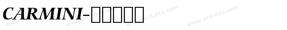 CARMINI字体转换