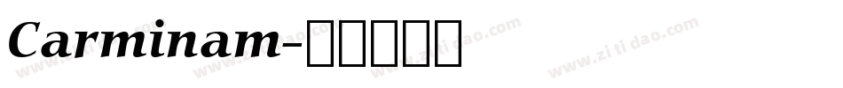 Carminam字体转换