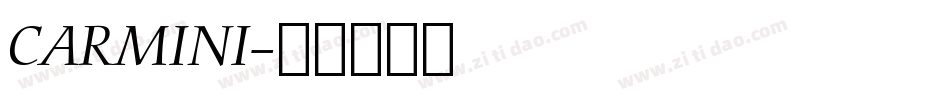 CARMINI字体转换