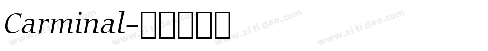 Carminal字体转换