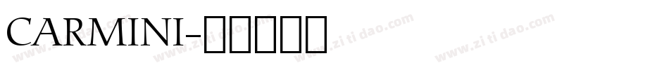 CARMINI字体转换